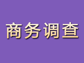 磐安商务调查